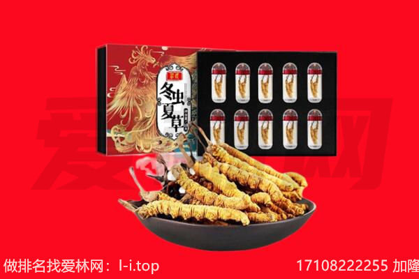 广宁县回收虫草.jpg